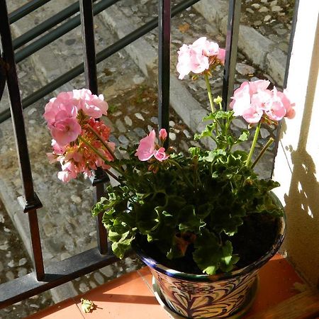 Escapadas Romanticas En Granada Jacuzzi 외부 사진